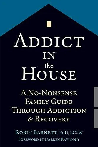 Addict In The House A No Nonsense Family Guide Through Addiction And Recovery