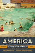America A Narrative History Brief Volume 2 10Th Edition