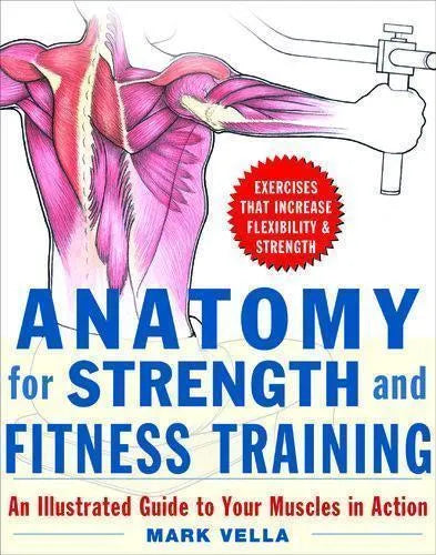 Anatomy For Strength And Fitness Training An Illustrated Guide To Your Muscles In Action