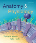 Anatomy Physiology 6Th Edition