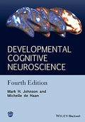 Developmental Cognitive Neuroscience An Introduction 4Th Edition