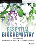 Essential Biochemistry 4Th Edition