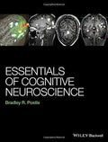 Essentials Of Cognitive Neuroscience