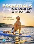 Essentials Of Human Anatomy Physiology 12Th Edition