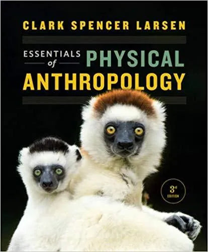 Essentials Of Physical Anthropology 3Rd Edition
