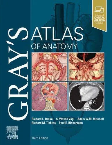 Grays Atlas Of Anatomy Grays Anatomy 3Rd Edition