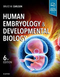 Human Embryology Developmental Biology 6Th Edition