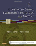 Illustrated Dental Embryology Histology And Anatomy 4Th Edition