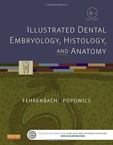 Illustrated Dental Embryology Histology And Anatomy 4Th Edition