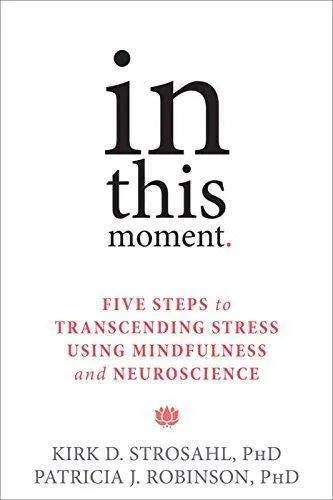 In This Moment Five Steps To Transcending Stress Using Mindfulness And Neuroscience