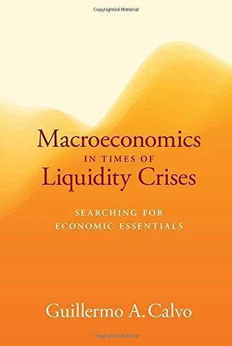 Macroeconomics In Times Of Liquidity Crises Searching For Economic Essentials