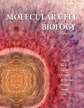 Molecular Cell Biology 7Th Edition