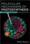 Molecular Mechanisms Of Photosynthesis