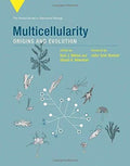 Multicellularity Origins And Evolution