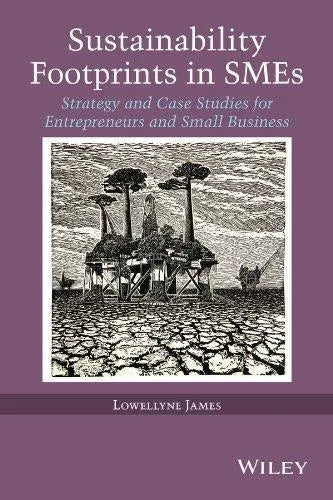 Sustainability Footprints In Smes Strategy And Case Studies For Entrepreneurs And Small Business