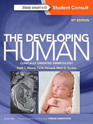 The Developing Human Clinically Oriented Embryology 10E 10Th Edition
