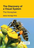 The Discovery Of A Visual System The Honeybee