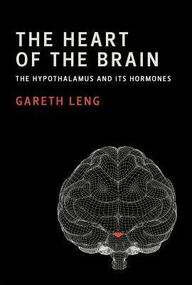 The Heart Of The Brain The Hypothalamus And Its Hormones