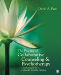 The Practice Of Collaborative Counseling Psychotherapy Developing Skills In Culturally Mindful Helping